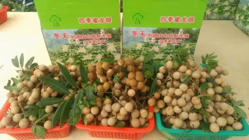 肇慶被確定為國家農產品質量安全市創建單位，躍居全省第三